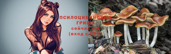 каннабис Богданович