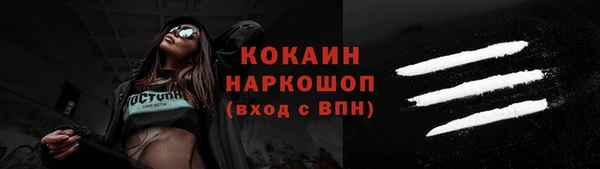 мдпв Богородск