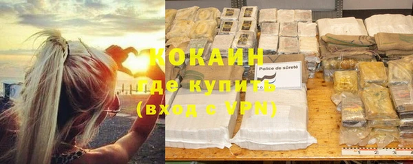 мдпв Богородск
