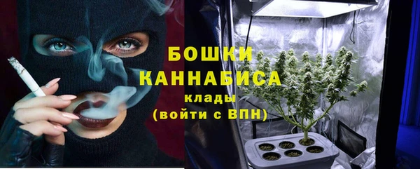 мдпв Богородск