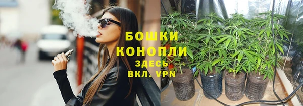 каннабис Богданович