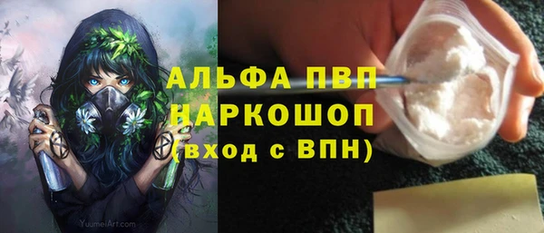 мдпв Богородск