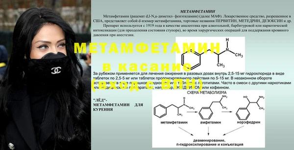каннабис Богданович
