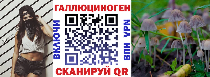 даркнет телеграм  Сковородино  Псилоцибиновые грибы Psilocybine cubensis  где продают наркотики 